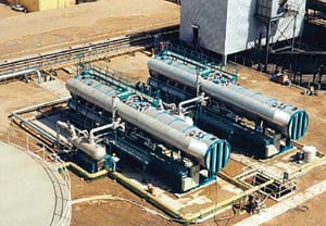 520004dad28f0-050110_HybridPlants_Fig1