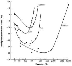 520004ddd65eb-100111_SR_CWA_Fig1