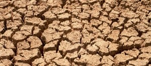 Stock_Drought_Commons
