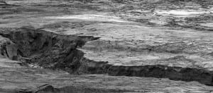 Coal ash spill