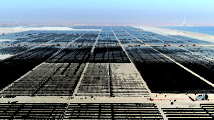 Fig4-Al-Maktoum-solar-farm-UAE
