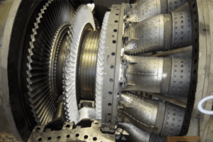 HGP-1-Wordpress
