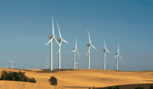 Vestas wind turbines