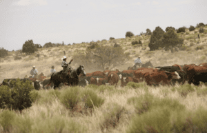 Chevelon Butte Ranch in Arizona