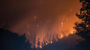 Fig1-wildfire-Dryad-Networks
