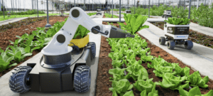 electrification agriculture