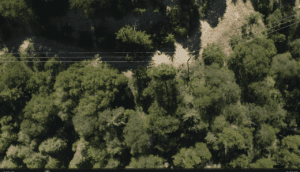 wildfire mitigation