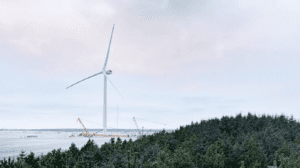 Vestas Inch Cape
