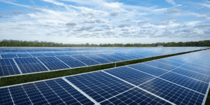 Savion Solar