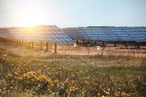 Fig1-solar-panels-PV-farm-envato