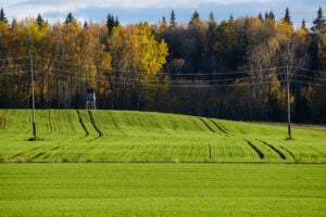 rural-electric-cooperative-power-grid